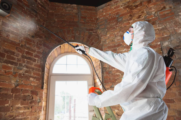 Best Industrial Mold Remediation in USA